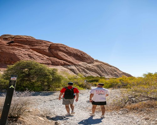 healthy lifestyle active man walking nature